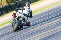 Oulton-Park-20th-March-2020;PJ-Motorsport-Photography-2020;anglesey;brands-hatch;cadwell-park;croft;donington-park;enduro-digital-images;event-digital-images;eventdigitalimages;mallory;no-limits;oulton-park;peter-wileman-photography;racing-digital-images;silverstone;snetterton;trackday-digital-images;trackday-photos;vmcc-banbury-run;welsh-2-day-enduro
